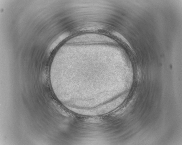 X0000069840874200606162003