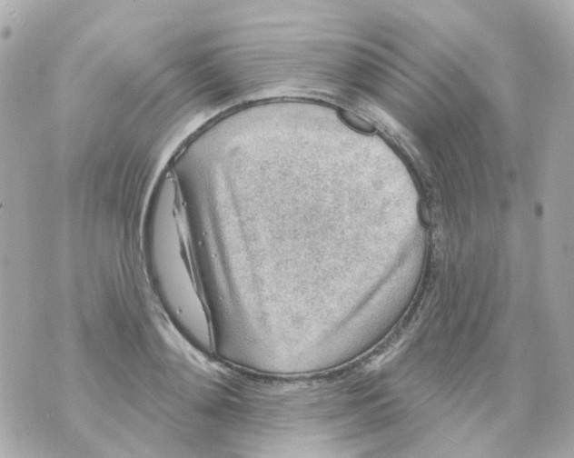X0000069840892200606162002