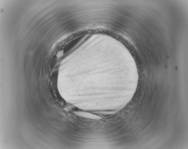 X0000069840920200606162001