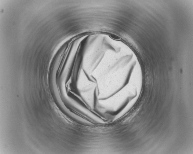 X0000069840932200606162002