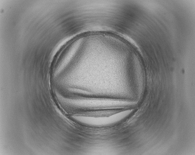 X0000069840935200606162002