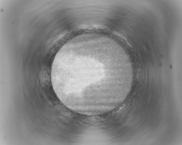 X0000069840966200606162001