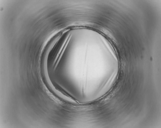 X0000069840976200606162001
