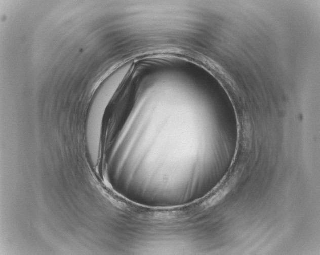 X0000069840985200606162001