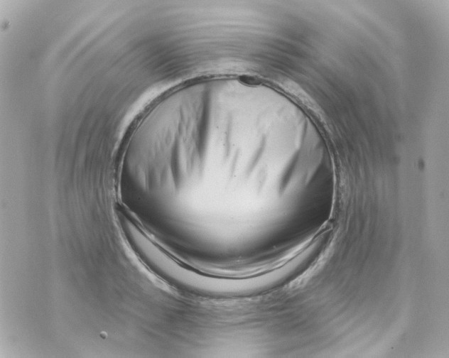 X0000069840989200606162001
