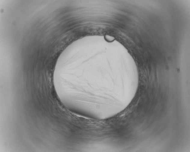 X0000069841013200606162000