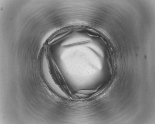 X0000069841022200606162000