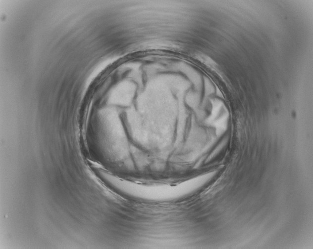 X0000069841024200606162000