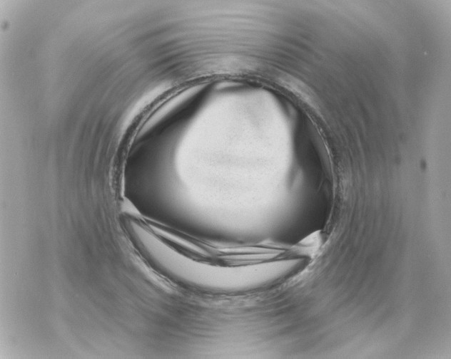 X0000069841026200606162000
