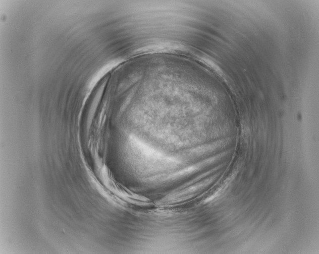 X0000069841034200606162000