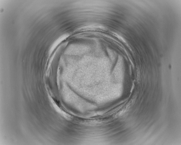 X0000069841042200606162000