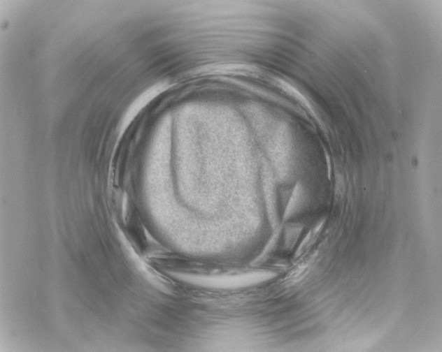 X0000069841050200606162000
