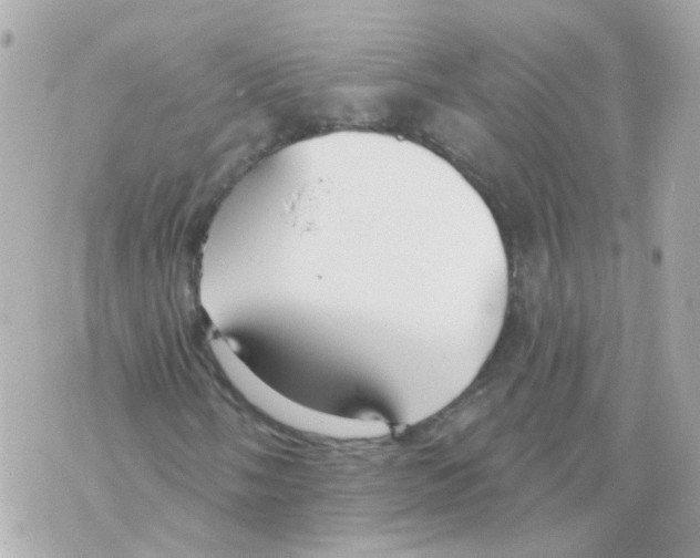 X0000069841058200606162000