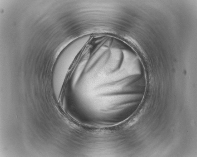 X0000069841081200606161959