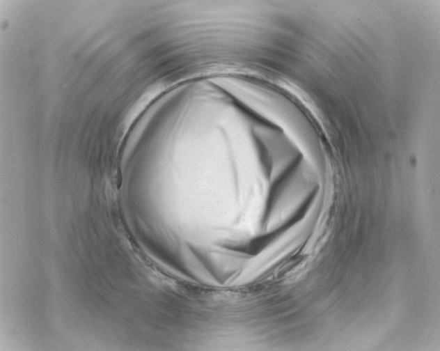X0000069841097200606161959