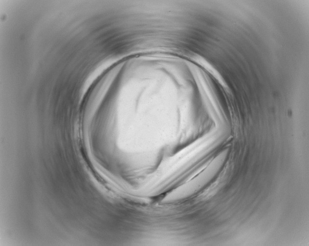 X0000069841101200606161959