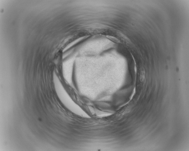 X0000069841108200606161958