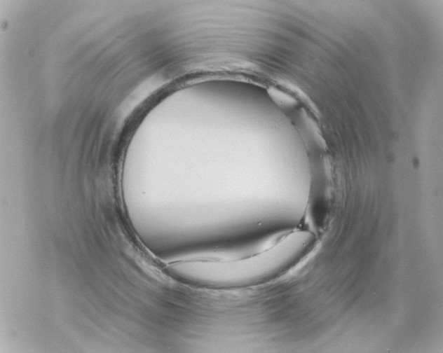 X0000069841114200606161958