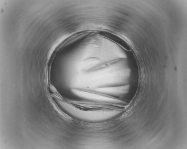 X0000069841128200606161959