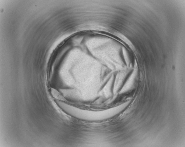 X0000069841144200606161959