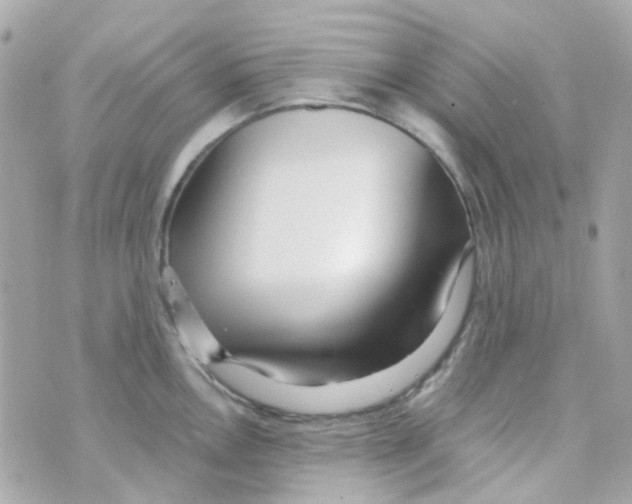 X0000069841146200606161959