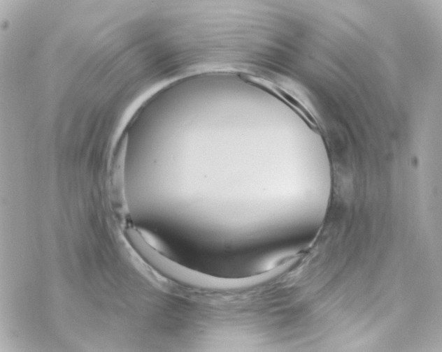 X0000069841148200606161959