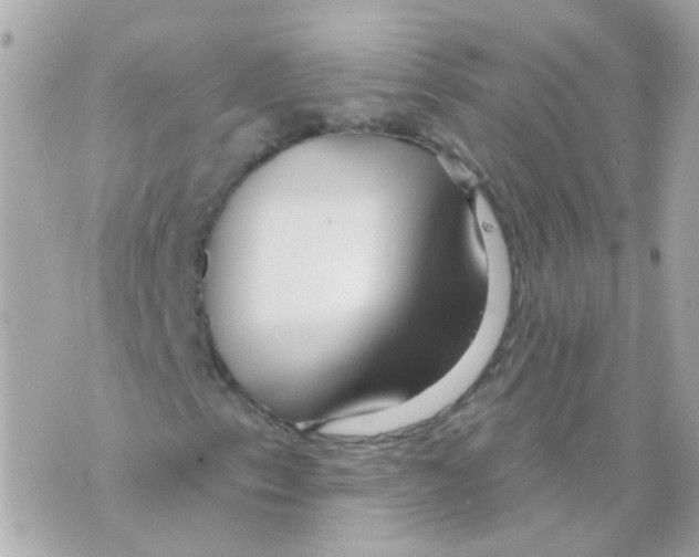 X0000069841153200606161958
