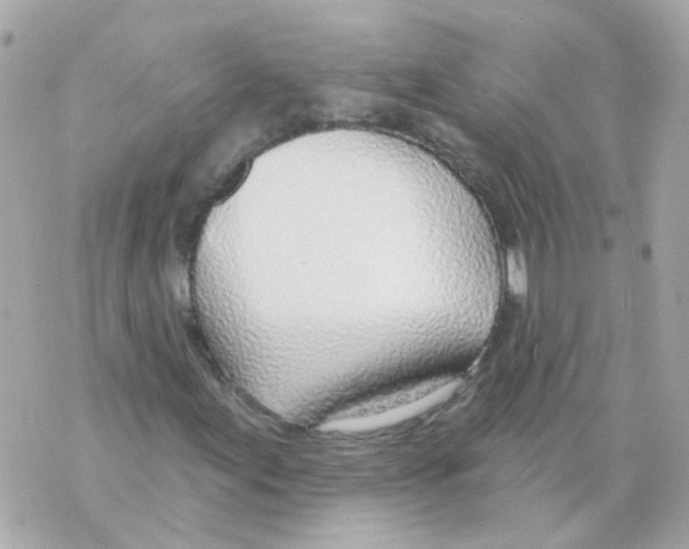X0000069841155200606161958