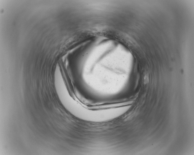 X0000069841156200606161958