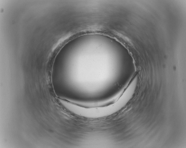 X0000069841160200606161958