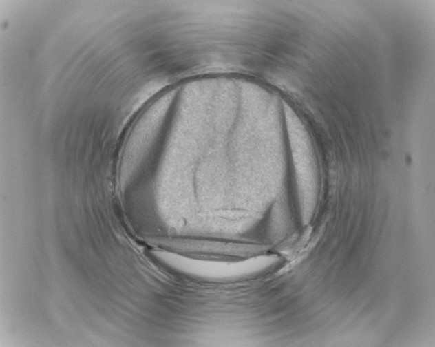 X0000069841170200606161958
