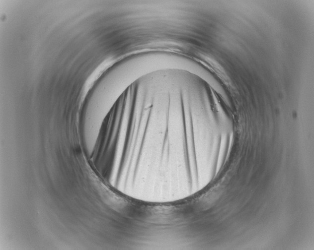X0000069841180200606161958