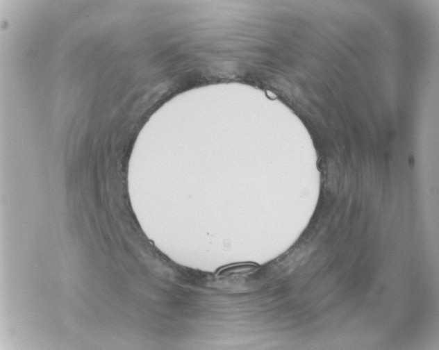 X0000069841201200606161957