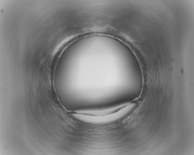 X0000069841214200606161957