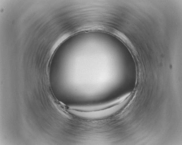 X0000069841242200606161957