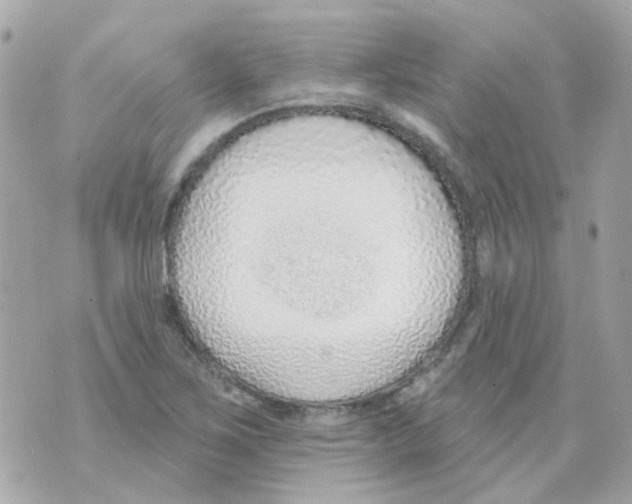 X0000069841267200606161956