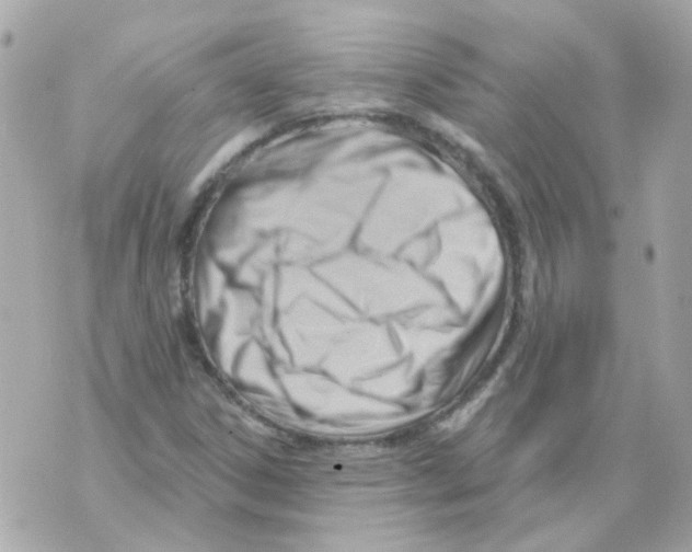 X0000069841306200606161955
