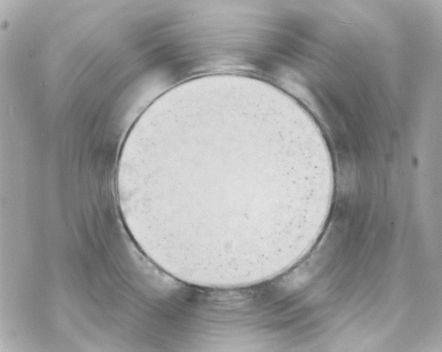 X0000069841338200606161956