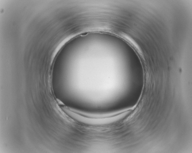 X0000069841340200606161956