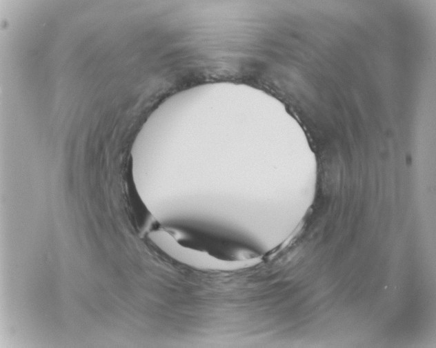 X0000069841345200606161955