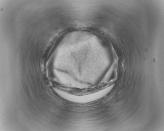 X0000069841348200606161955