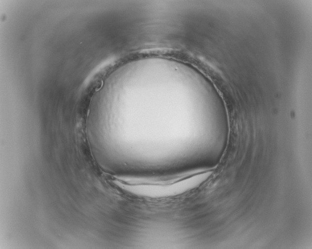 X0000069841351200606161955