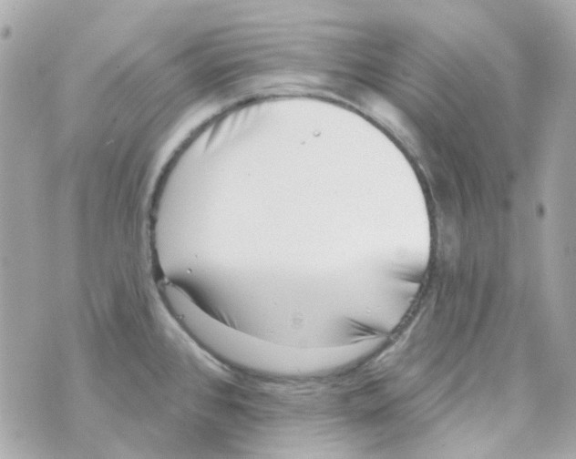 X0000069841384200606161954