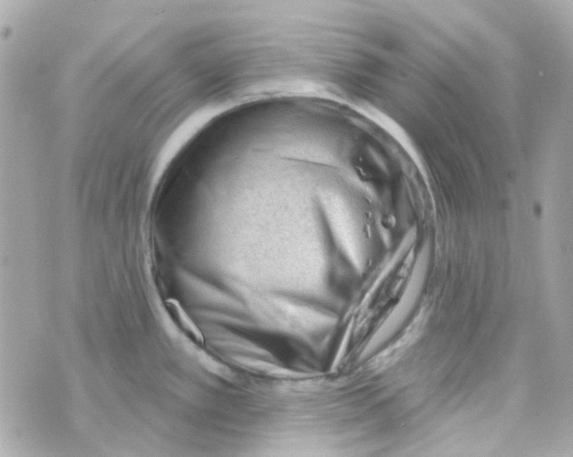 X0000069841389200606161954