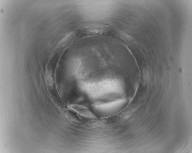 X0000069841394200606161953