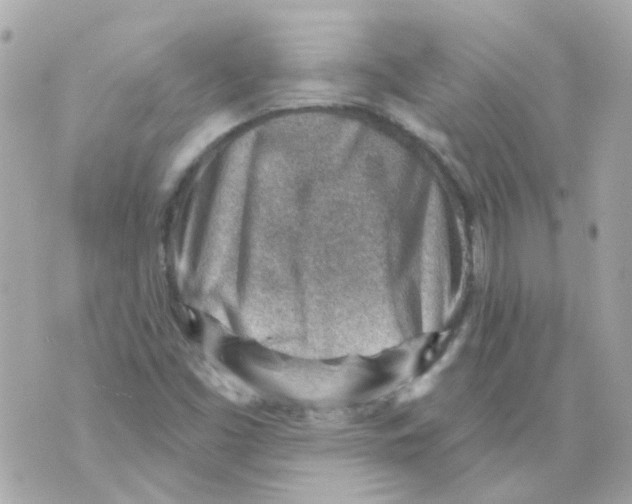 X0000069841453200606161953