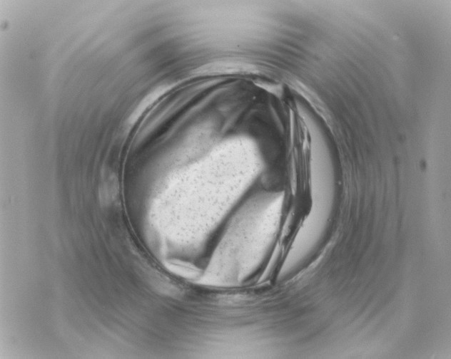 X0000069841465200606161953