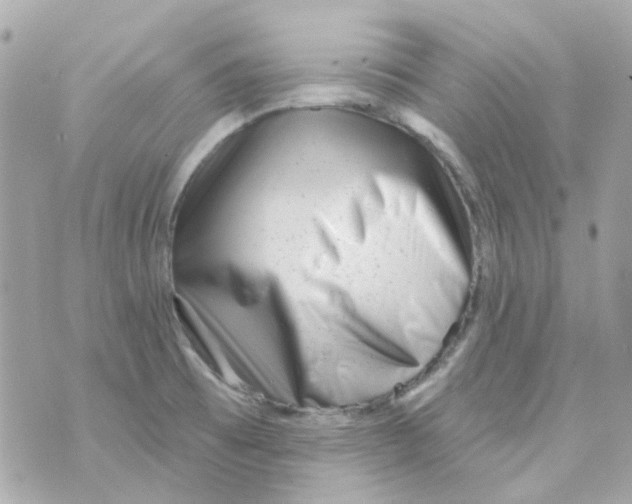 X0000069841473200606161953