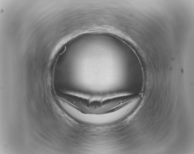 X0000069841506200606161952