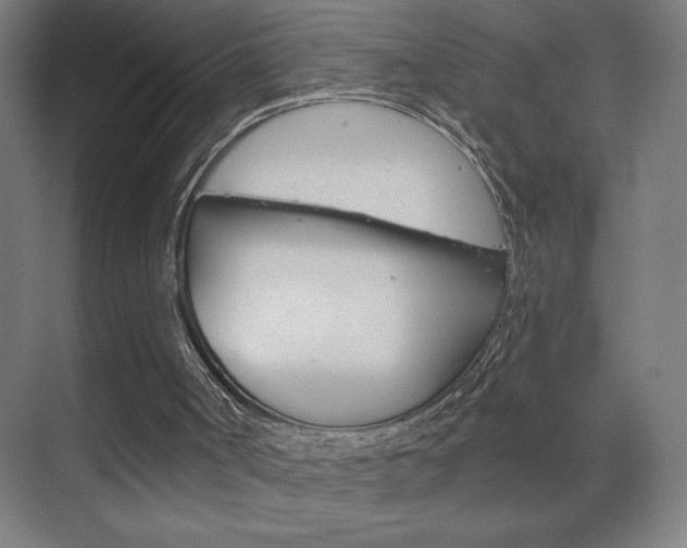 X0000070160002200605260951